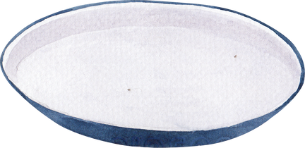 Watercolor Dish Plate 